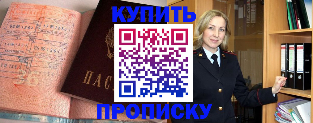 прописка в Шатуре